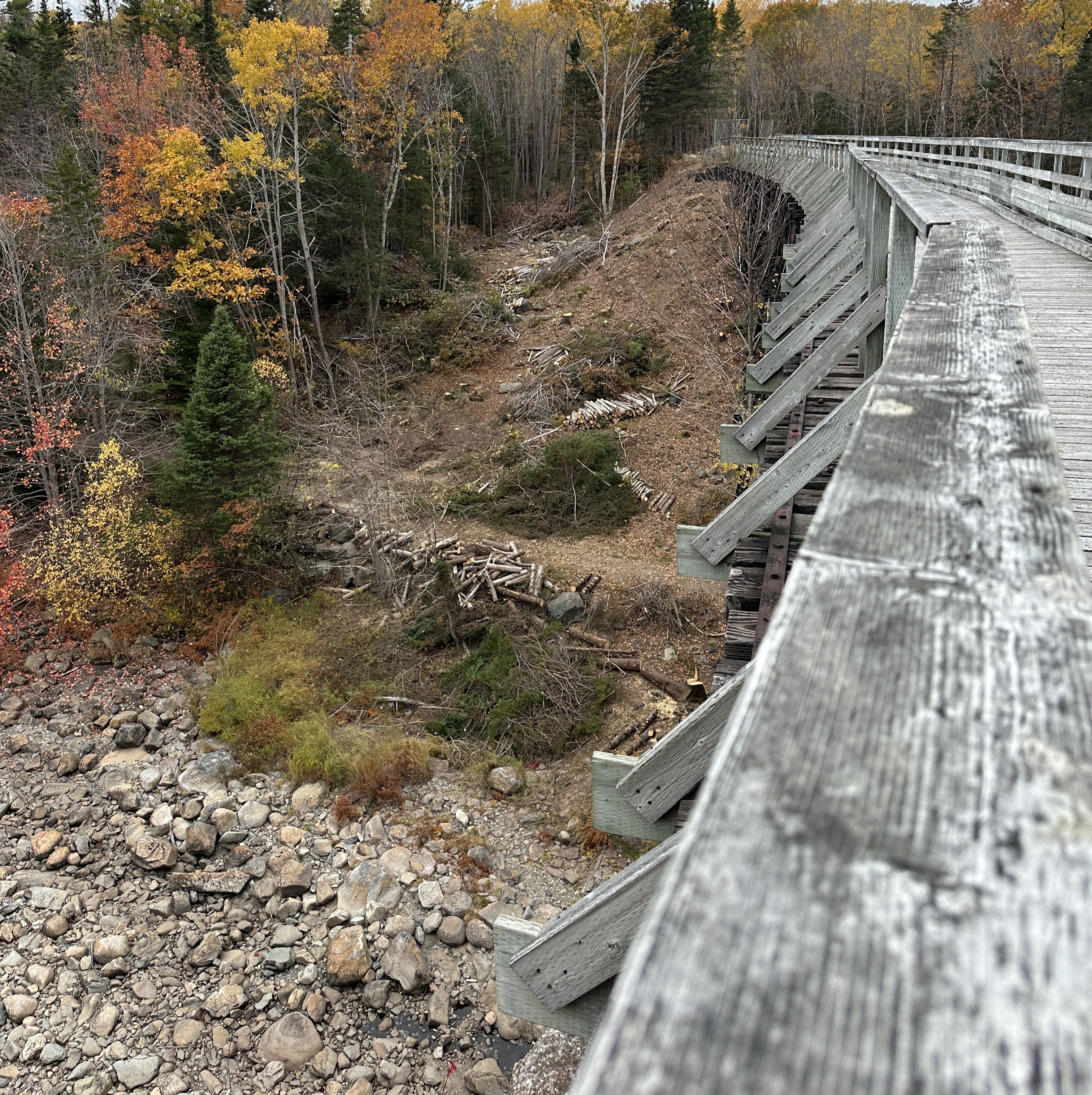 West side of Gold River Trail Bridge