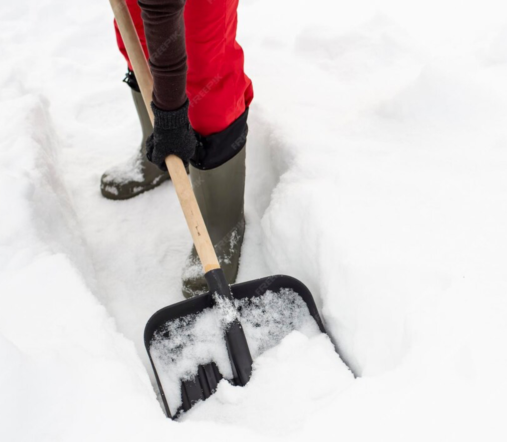 Shovel in snow