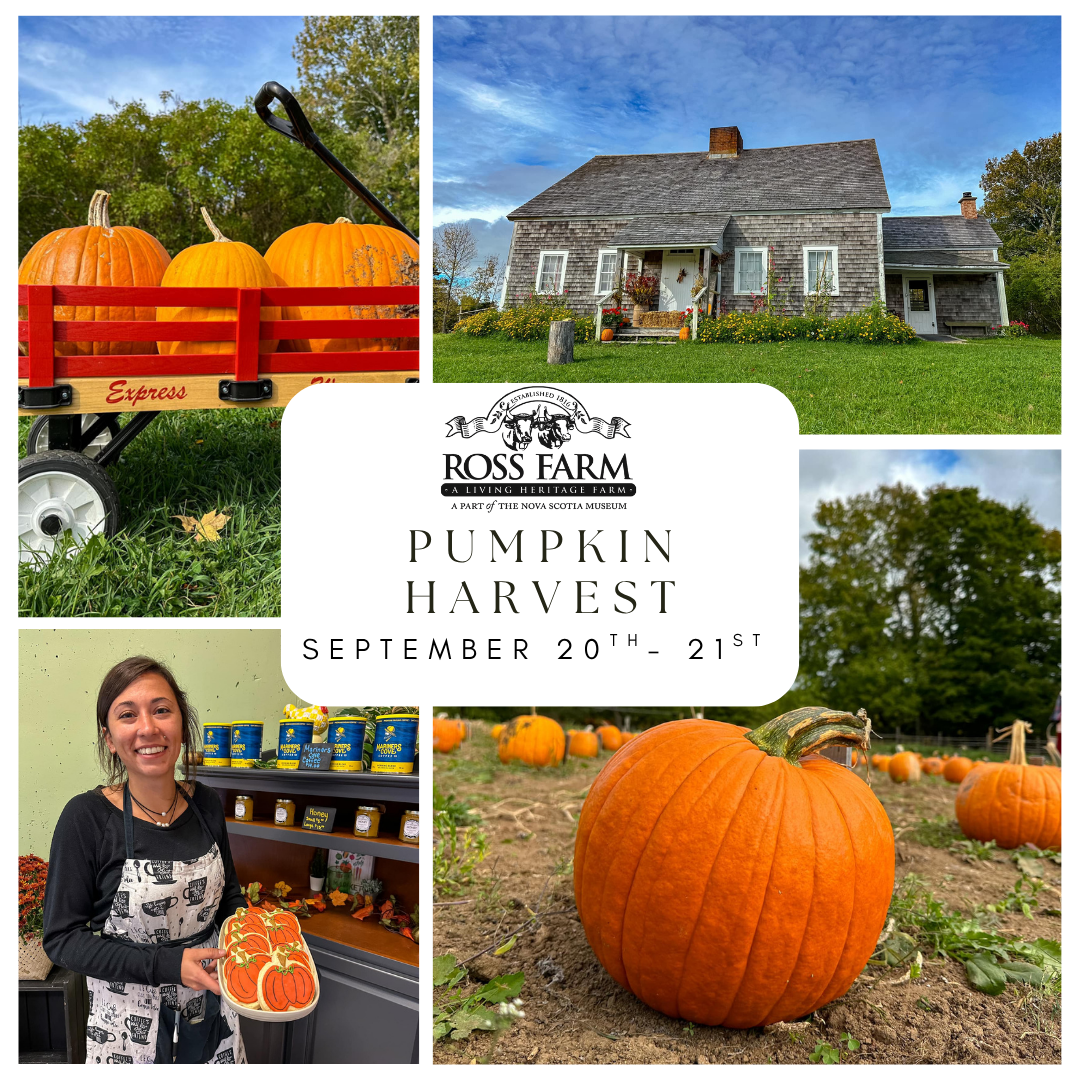 Come to our pumpkin harvest event on September 20th and 21st to collect the pumpkin you planted in June! What will your pumpkin look like? Will it be big, small, round, or tall? 