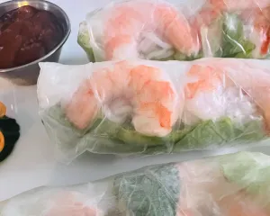 Fresh garden spring rolls