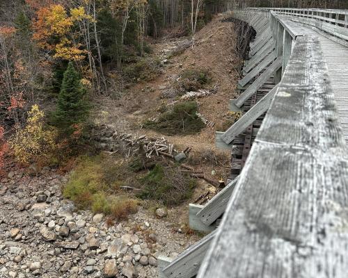 West side of Gold River Trail Bridge