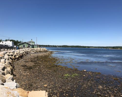 Wild Rose Park coastal view with blue skies