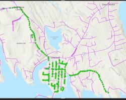 map of a portion of the Municipality of Chester with green dots indicating where trees will be trimmed